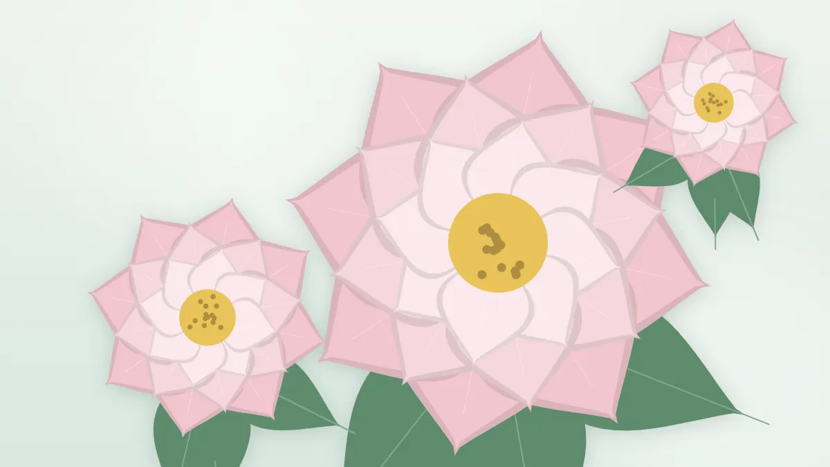 Pink lotus flowers with golden centers above green leaves